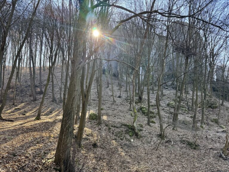 Pstrąg Ojcowski Premium Tour: Z Zielonek do Serca Parku