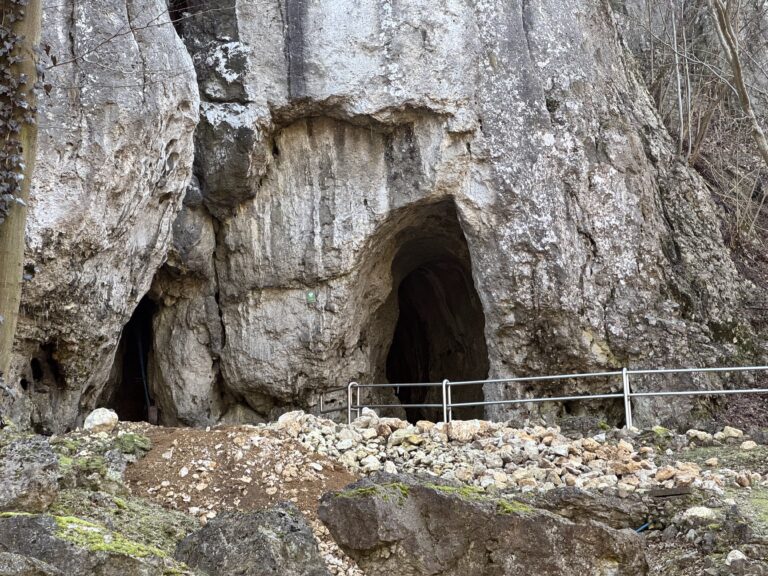 Jurajski Challenge: Dolinki Krakowskie w Pionie (Wersja Rozszerzona)